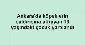 Ankara'da köpeklerin saldırısına uğrayan 13 yaşındaki çocuk yaralandı