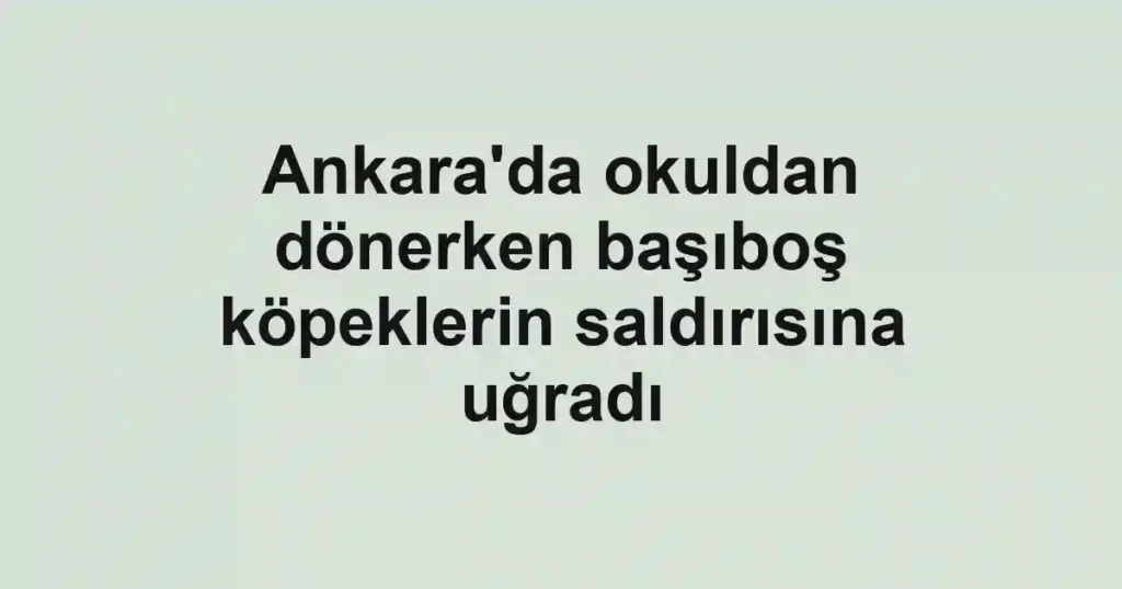 Ankara'da okuldan dönerken başıboş köpeklerin saldırısına uğradı