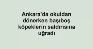 Ankara'da okuldan dönerken başıboş köpeklerin saldırısına uğradı