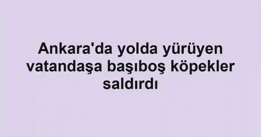 Ankara'da yolda yürüyen vatandaşa başıboş köpekler saldırdı
