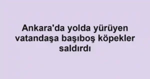 Ankara'da yolda yürüyen vatandaşa başıboş köpekler saldırdı
