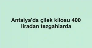 Antalya'da çilek kilosu 400 liradan tezgahlarda