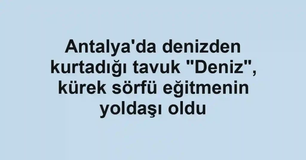 Antalya'da denizden kurtadığı tavuk "Deniz", kürek sörfü eğitmenin yoldaşı oldu
