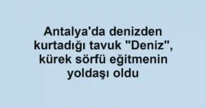 Antalya'da denizden kurtadığı tavuk "Deniz", kürek sörfü eğitmenin yoldaşı oldu