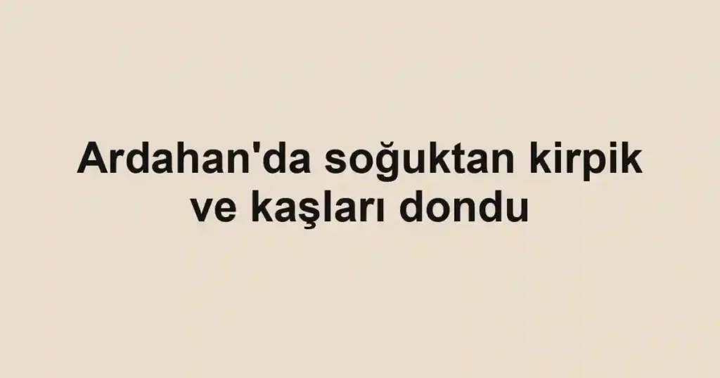 Ardahan'da soğuktan kirpik ve kaşları dondu