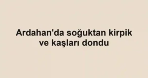 Ardahan'da soğuktan kirpik ve kaşları dondu