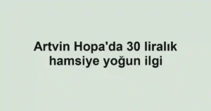 Artvin Hopa'da 30 liralık hamsiye yoğun ilgi