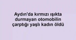 Aydın'da kırmızı ışıkta durmayan otomobilin çarptığı yaşlı kadın öldü