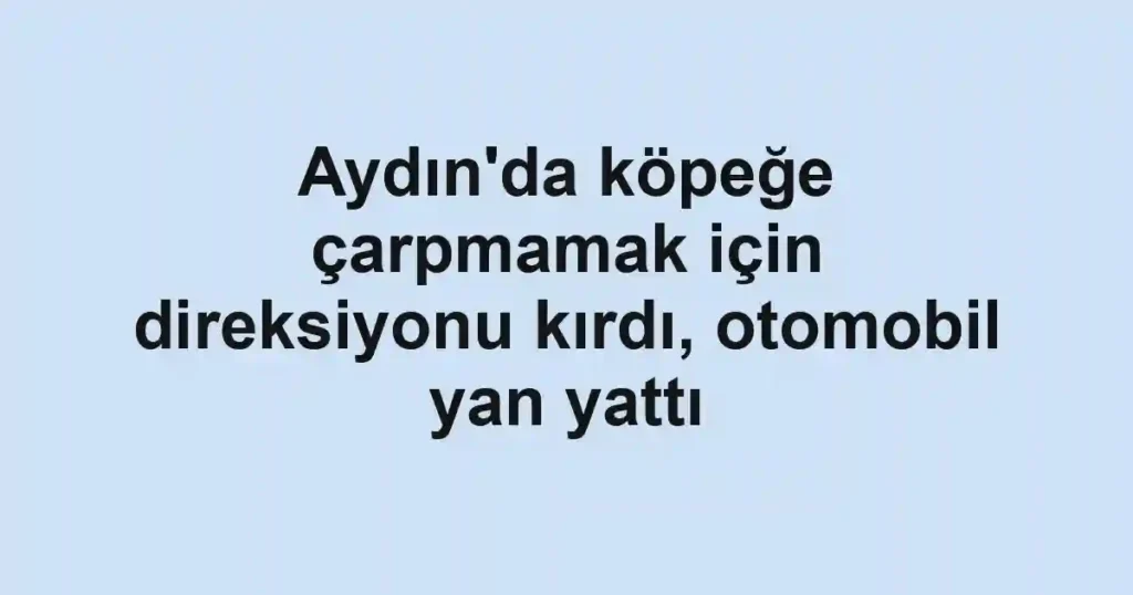 Aydın'da köpeğe çarpmamak için direksiyonu kırdı, otomobil yan yattı