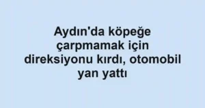 Aydın'da köpeğe çarpmamak için direksiyonu kırdı, otomobil yan yattı