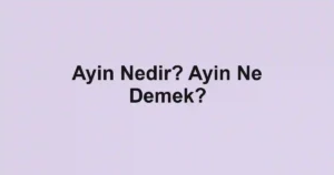 Ayin Nedir? Ayin Ne Demek?