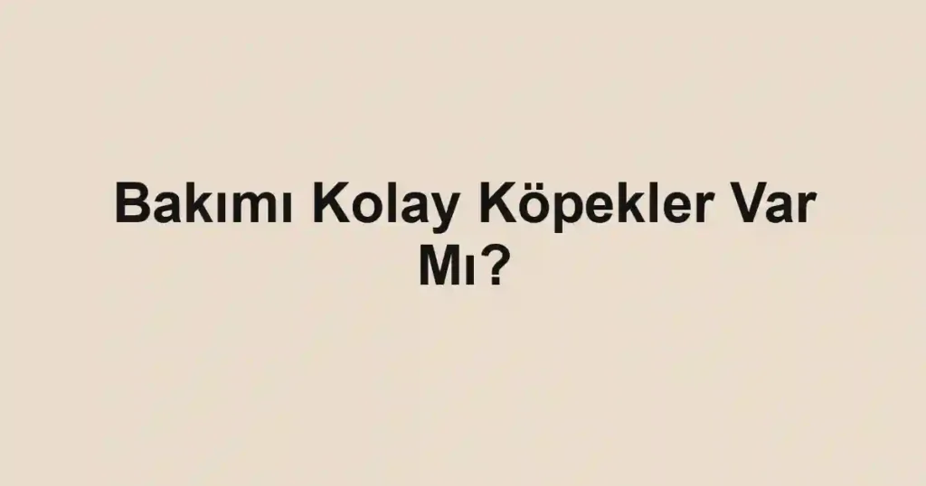 Bakımı Kolay Köpekler Var Mı?