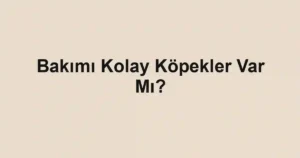 Bakımı Kolay Köpekler Var Mı?