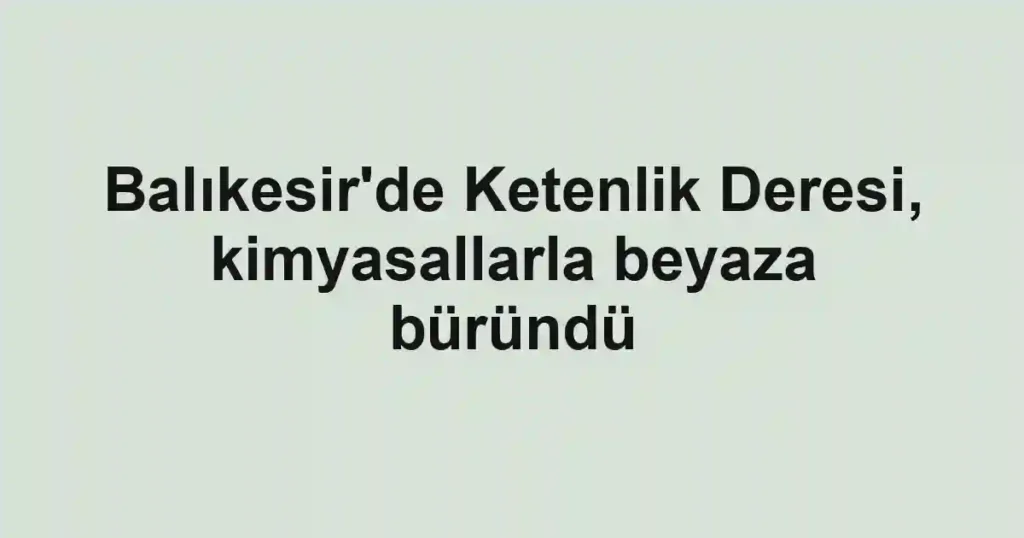 Balıkesir'de Ketenlik Deresi, kimyasallarla beyaza büründü