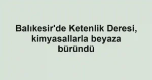 Balıkesir'de Ketenlik Deresi, kimyasallarla beyaza büründü