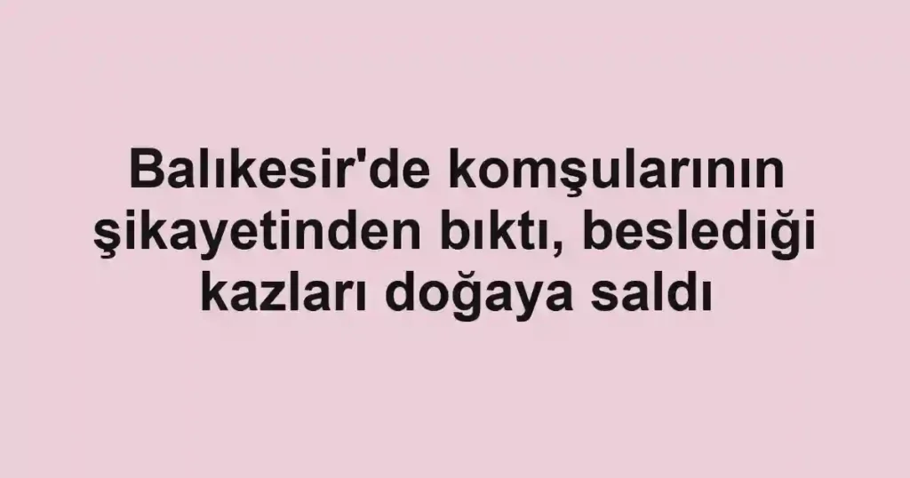 Balıkesir'de komşularının şikayetinden bıktı, beslediği kazları doğaya saldı