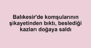 Balıkesir'de komşularının şikayetinden bıktı, beslediği kazları doğaya saldı