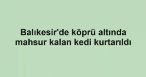 Balıkesir'de köprü altında mahsur kalan kedi kurtarıldı