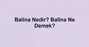Balina Nedir? Balina Ne Demek?