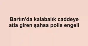 Bartın'da kalabalık caddeye atla giren şahsa polis engeli