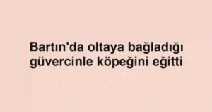 Bartın'da oltaya bağladığı güvercinle köpeğini eğitti