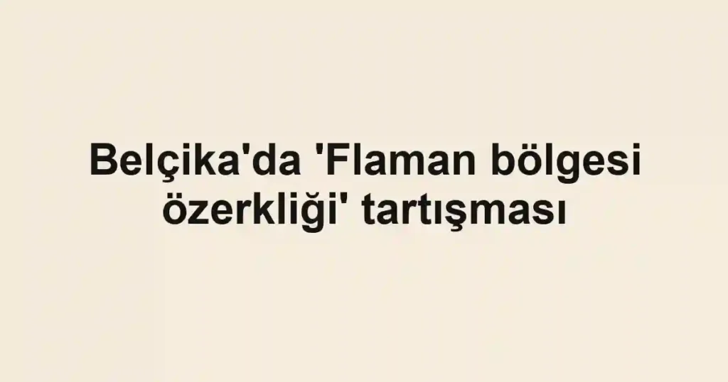 Belçika'da 'Flaman bölgesi özerkliği' tartışması