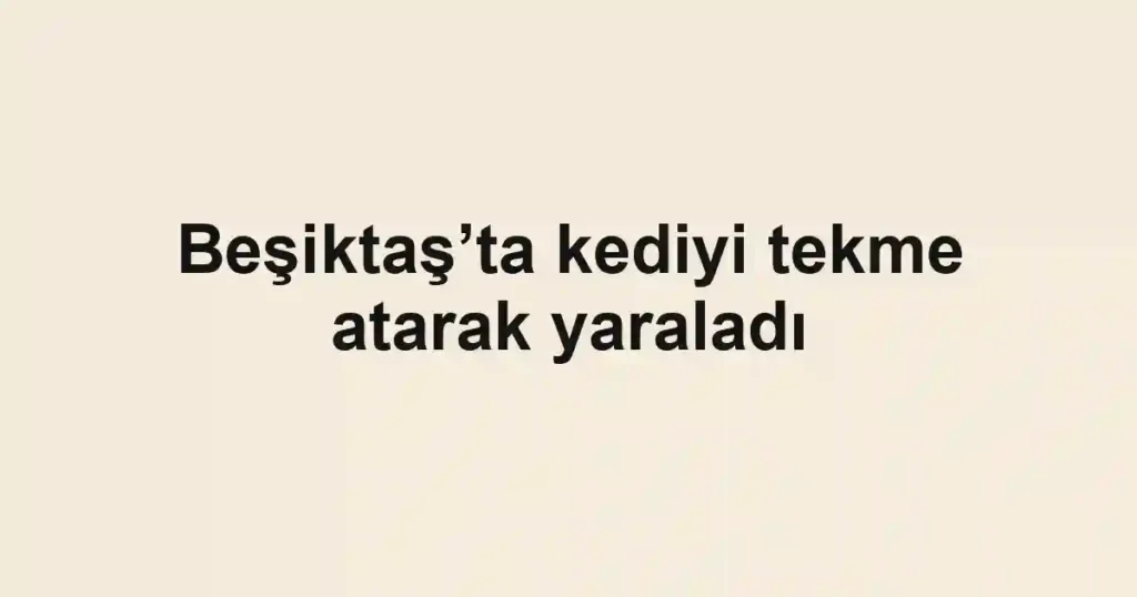 Beşiktaş’ta kediyi tekme atarak yaraladı
