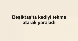 Beşiktaş’ta kediyi tekme atarak yaraladı