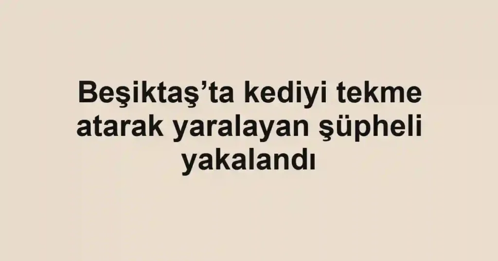 Beşiktaş’ta kediyi tekme atarak yaralayan şüpheli yakalandı