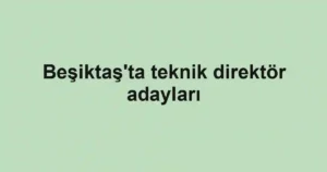 Beşiktaş'ta teknik direktör adayları