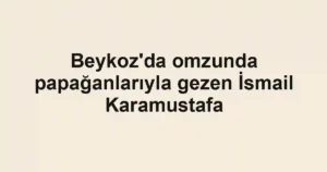Beykoz'da omzunda papağanlarıyla gezen İsmail Karamustafa