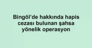 Bingöl’de hakkında hapis cezası bulunan şahsa yönelik operasyon