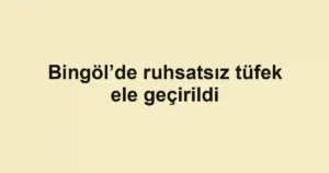 Bingöl’de ruhsatsız tüfek ele geçirildi