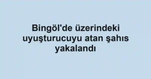 Bingöl'de üzerindeki uyuşturucuyu atan şahıs yakalandı