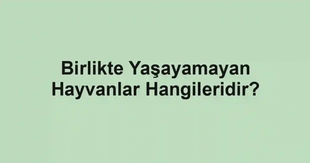 Birlikte Yaşayamayan Hayvanlar Hangileridir?