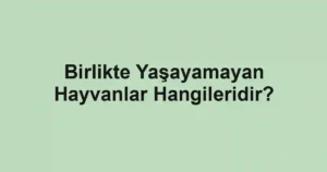 Birlikte Yaşayamayan Hayvanlar Hangileridir?