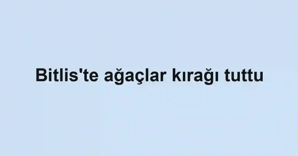 Bitlis'te ağaçlar kırağı tuttu