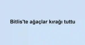 Bitlis'te ağaçlar kırağı tuttu
