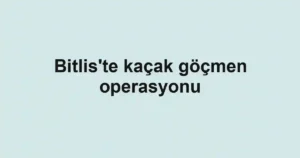 Bitlis'te kaçak göçmen operasyonu