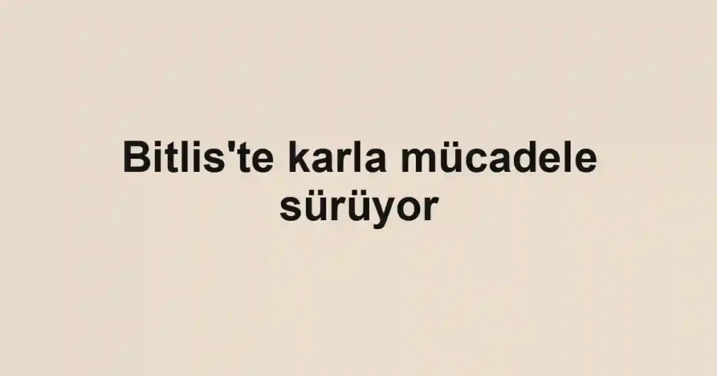 Bitlis'te karla mücadele sürüyor