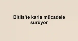 Bitlis'te karla mücadele sürüyor