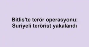 Bitlis'te terör operasyonu: Suriyeli terörist yakalandı