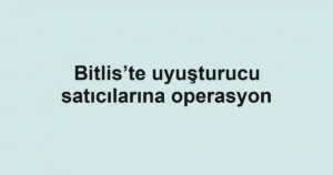 Bitlis’te uyuşturucu satıcılarına operasyon
