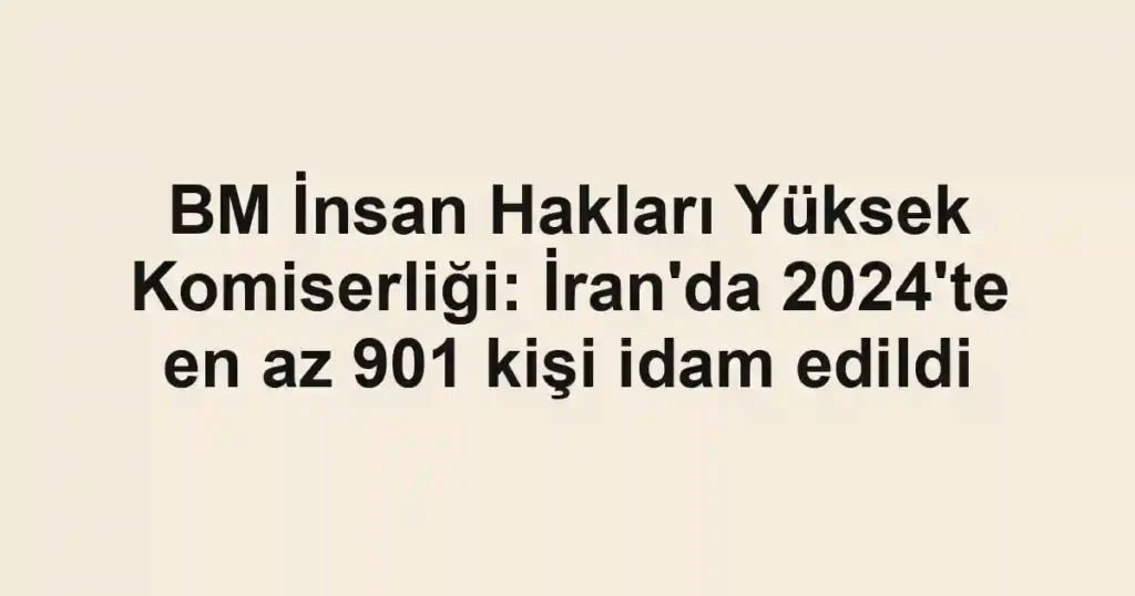 BM İnsan Hakları Yüksek Komiserliği: İran'da 2024'te en az 901 kişi idam edildi