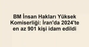 BM İnsan Hakları Yüksek Komiserliği: İran'da 2024'te en az 901 kişi idam edildi