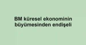 BM küresel ekonominin büyümesinden endişeli