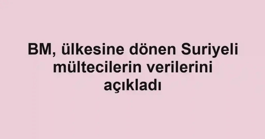 BM, ülkesine dönen Suriyeli mültecilerin verilerini açıkladı