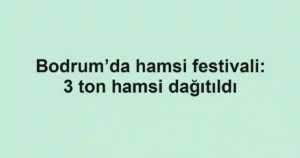 Bodrum’da hamsi festivali: 3 ton hamsi dağıtıldı