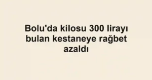 Bolu'da kilosu 300 lirayı bulan kestaneye rağbet azaldı