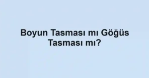 Boyun Tasması mı Göğüs Tasması mı?